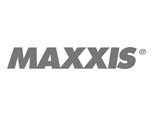 Maxiss - Logo
